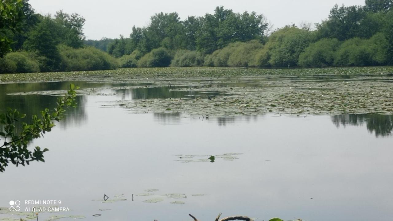 Maison De Ferme Au Calme Jusqu'A 10 Personnes Gannay-sur-Loire Eksteriør billede