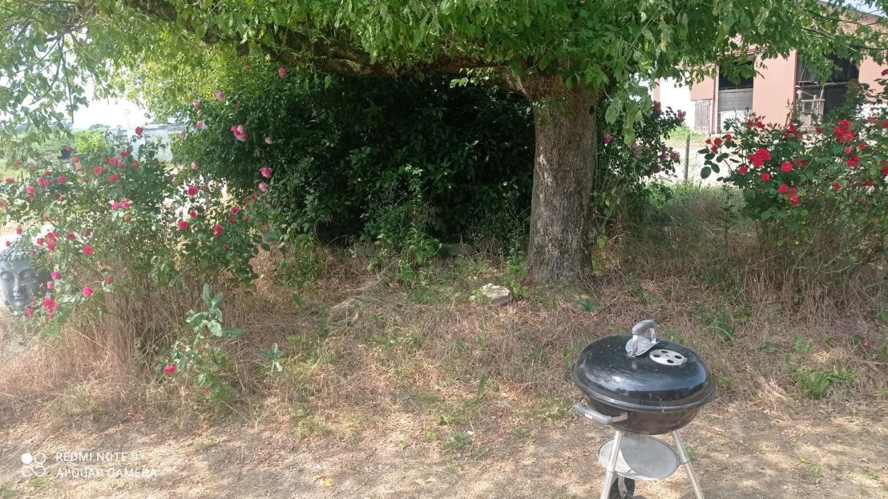 Maison De Ferme Au Calme Jusqu'A 10 Personnes Gannay-sur-Loire Eksteriør billede